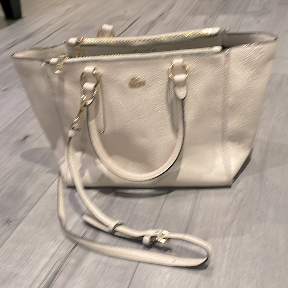 Romy cute coach bag